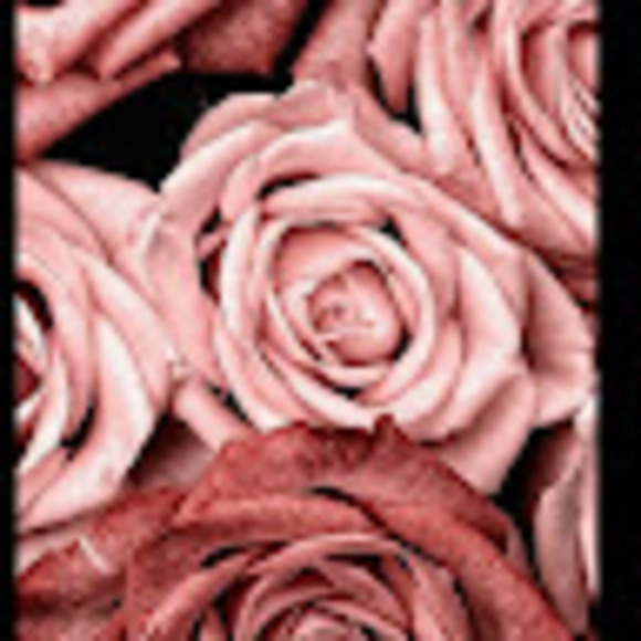 amber_dtruscorp